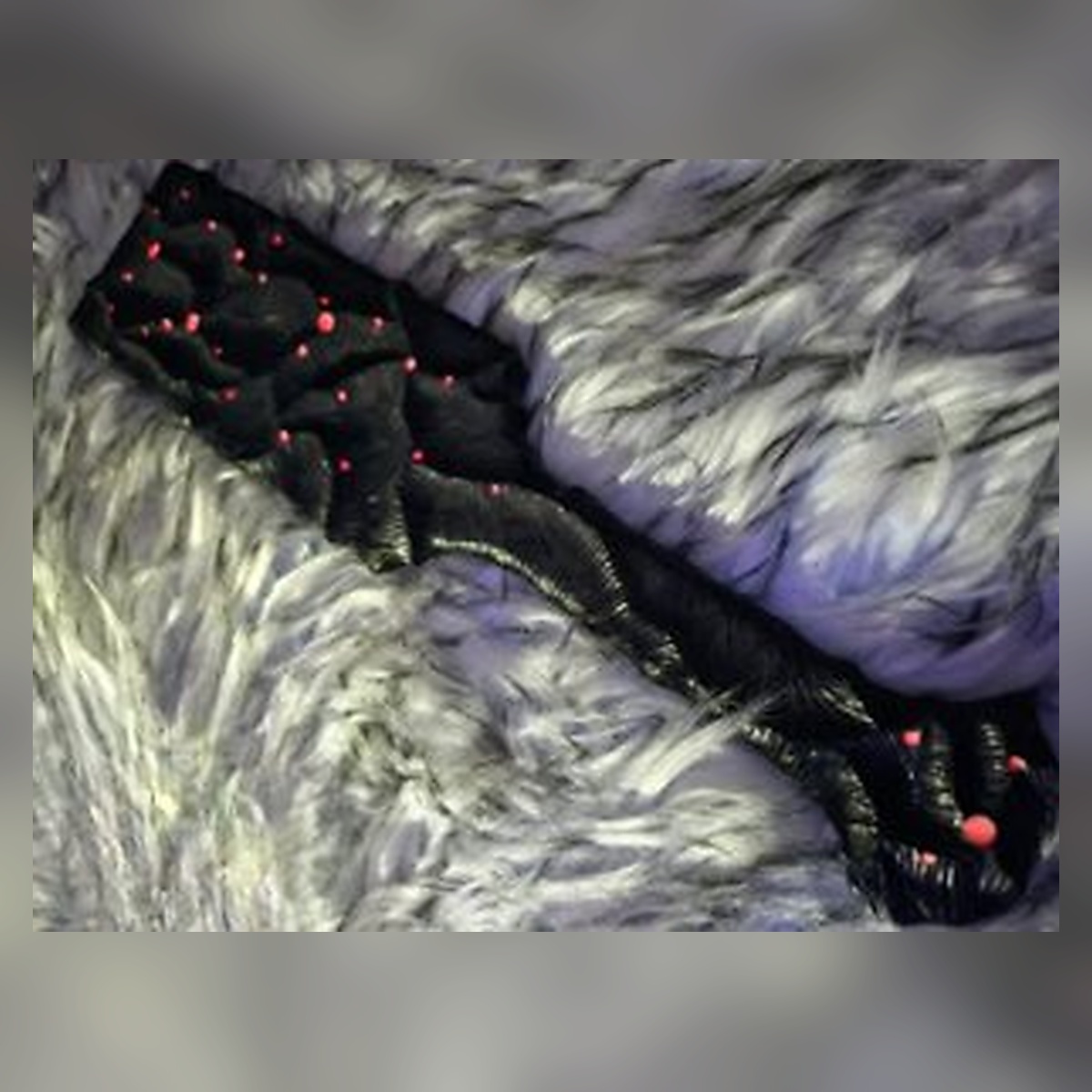 Wrapped Flower Ruler