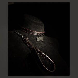 Basic Collar A