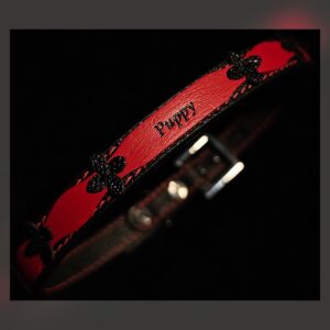 Puppy Collar