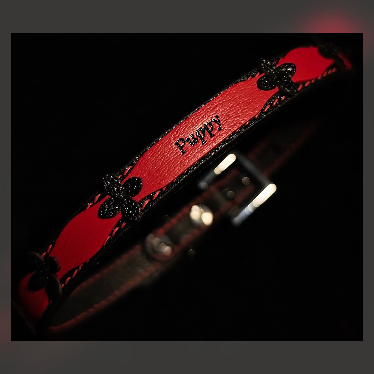 Puppy Collar