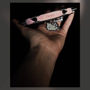 Studded Puppy Collar