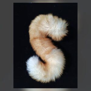 Ivory Moon Ribbon Tail Set