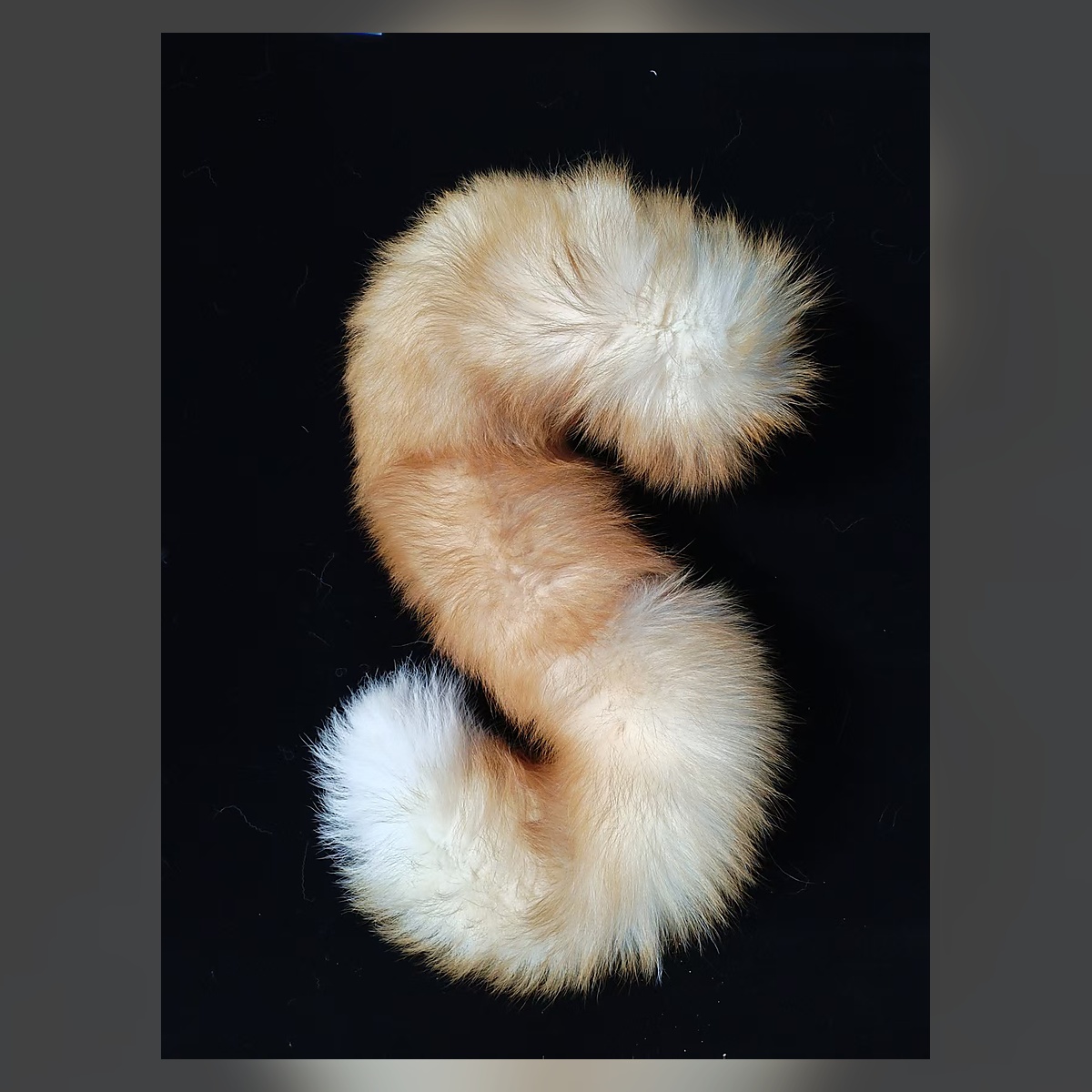 Ivory Moon Ribbon Tail Set