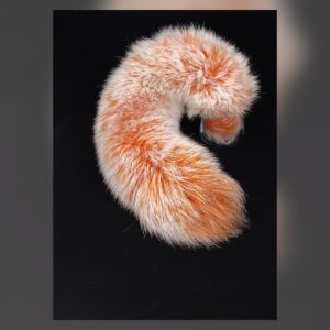 Black Swan Ribbon Tail Set