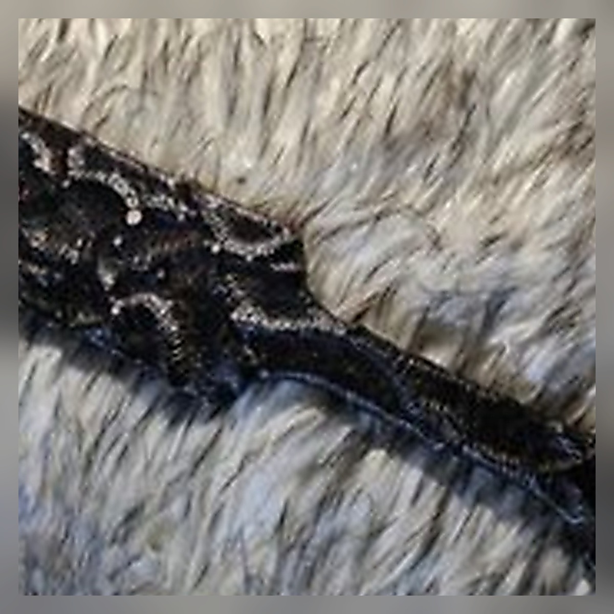 Obsidian Ruler - Image 4