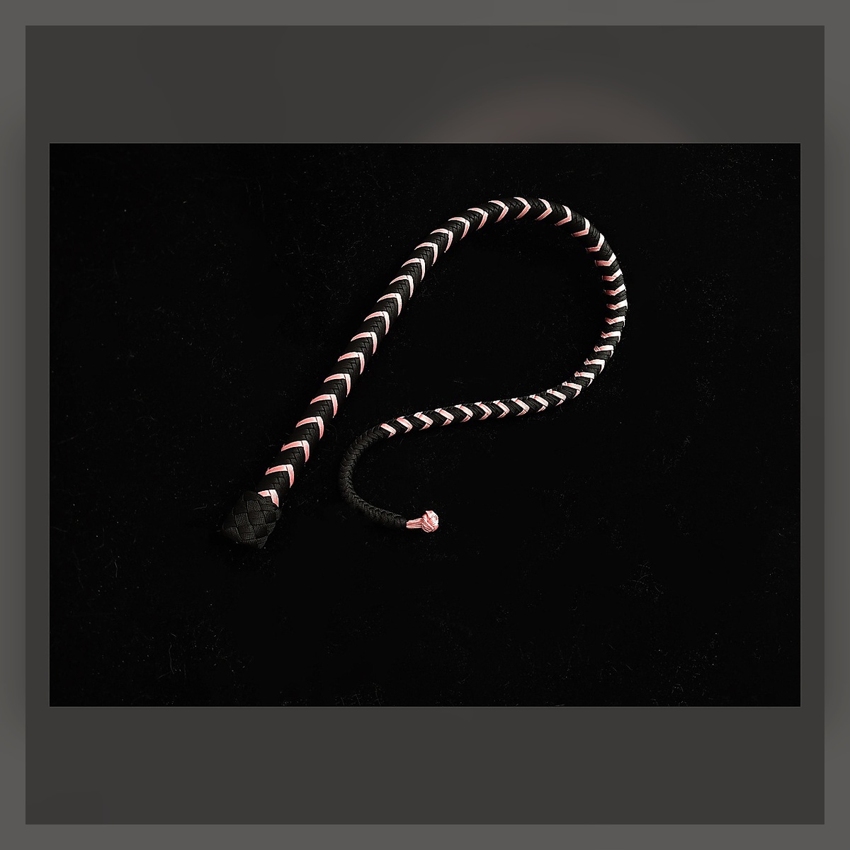 Pig-Tail Whip - Image 2