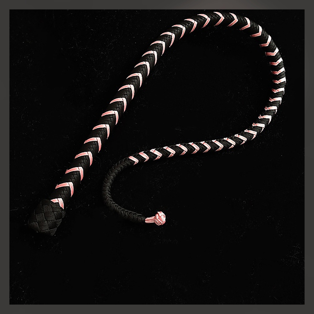 Pig-Tail Whip - Image 4