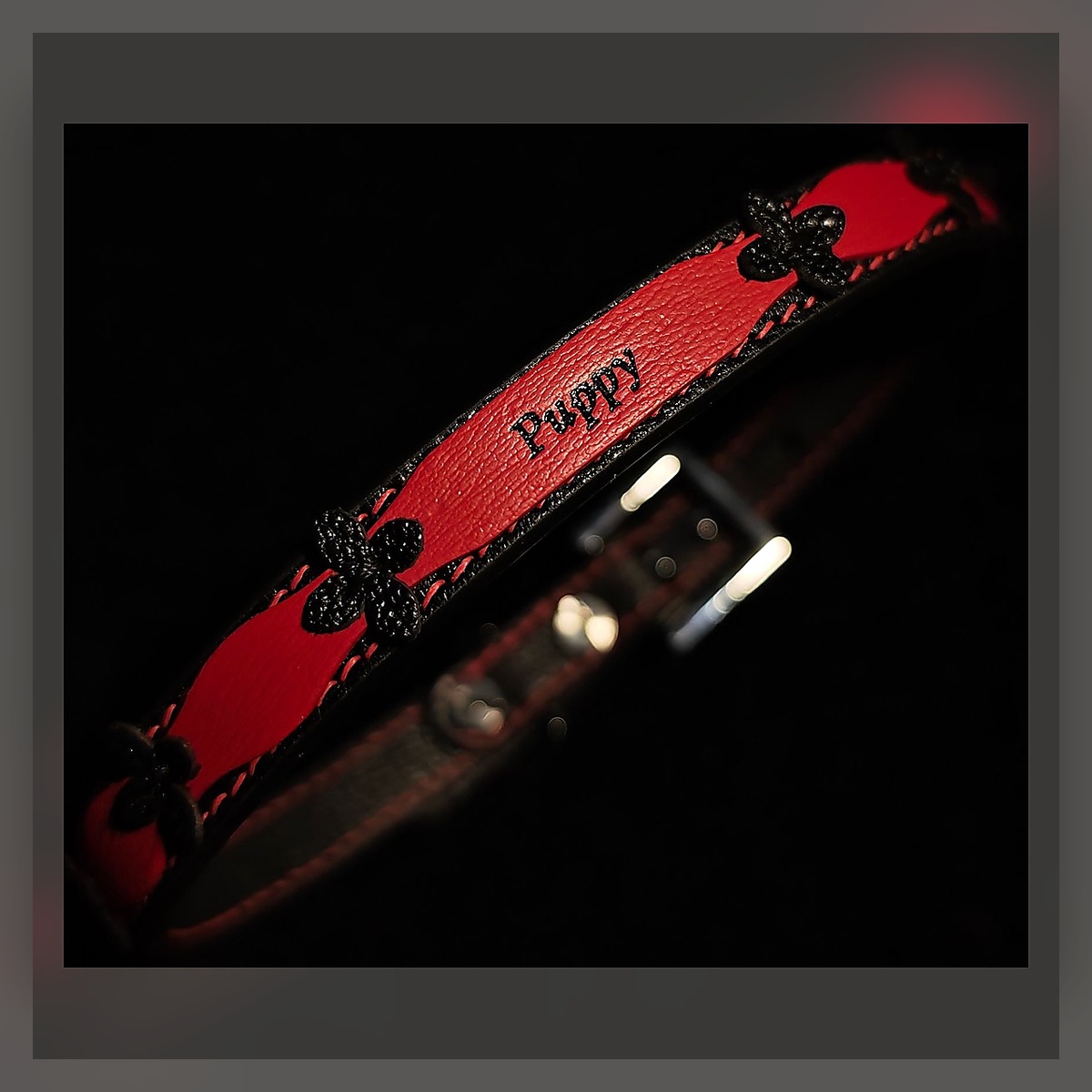 Puppy Collar - Image 2