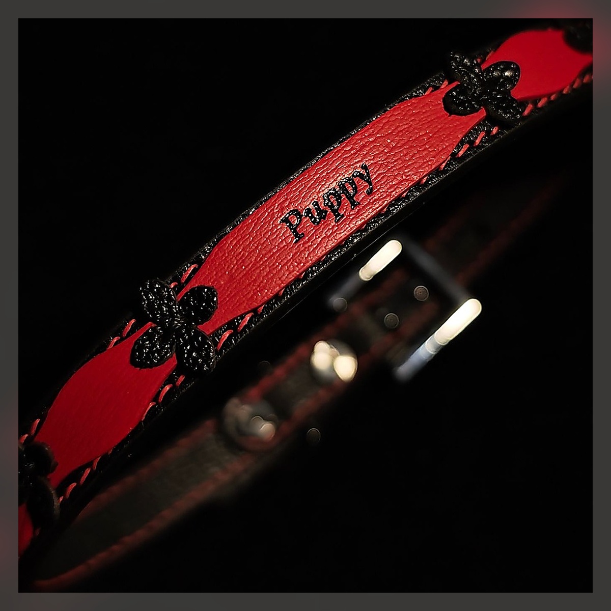 Puppy Collar - Image 3
