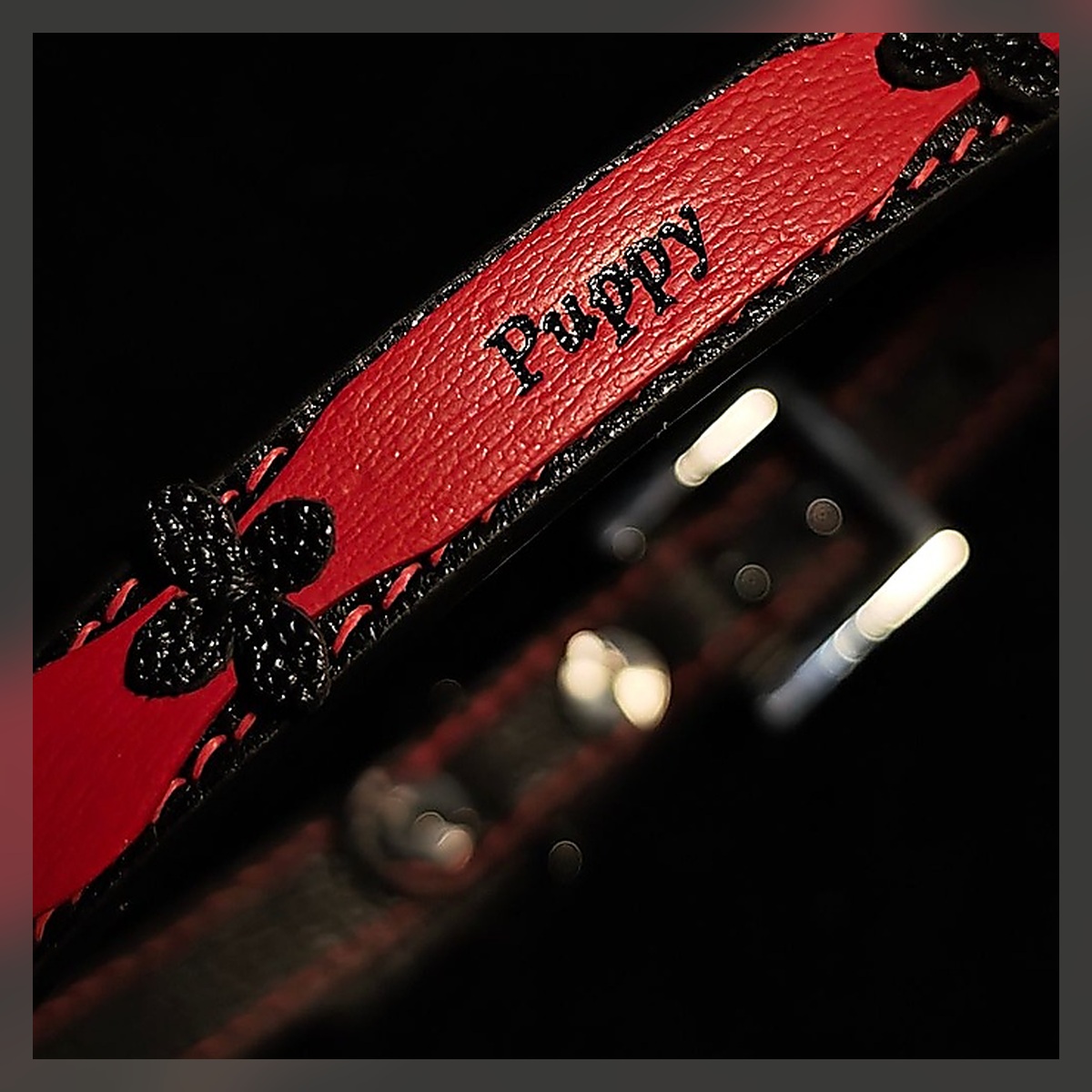 Puppy Collar - Image 4