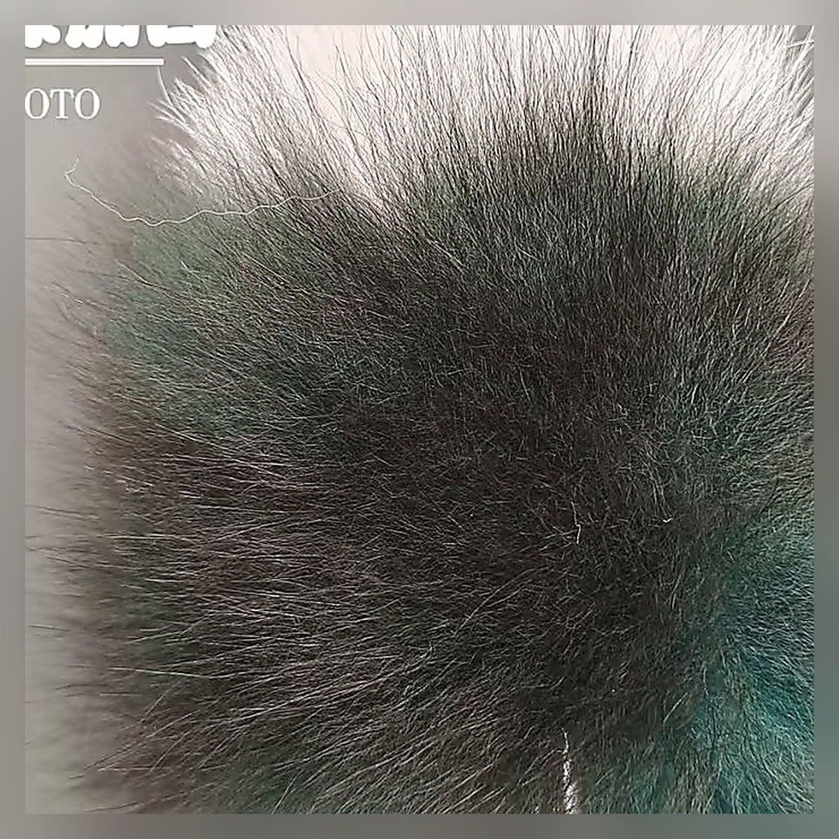 Bluebell Tail Set - Image 4