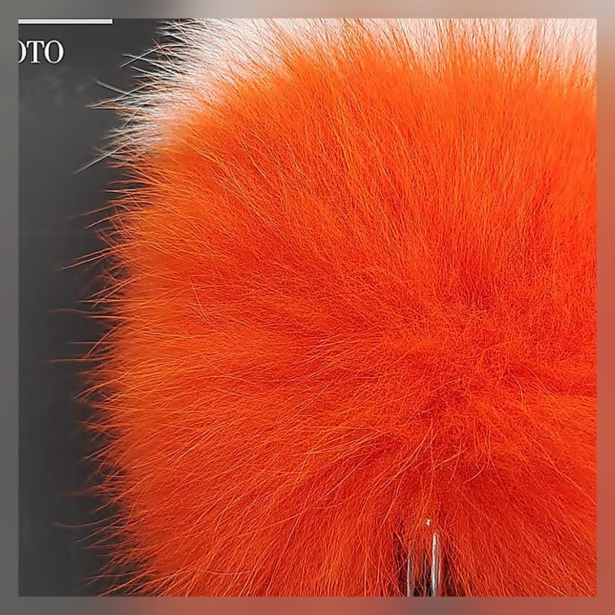 Frosted Rose Tail Set - Image 4