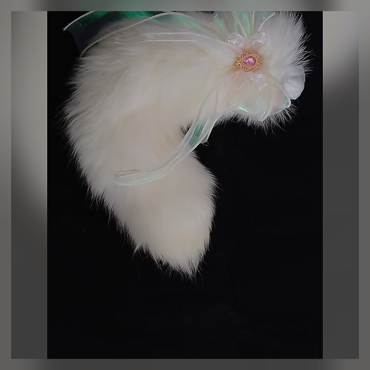 Soft Ember Tail Set - Image 3