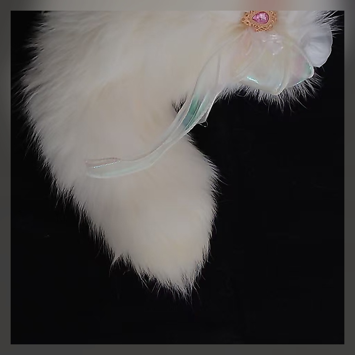 Soft Ember Tail Set - Image 4