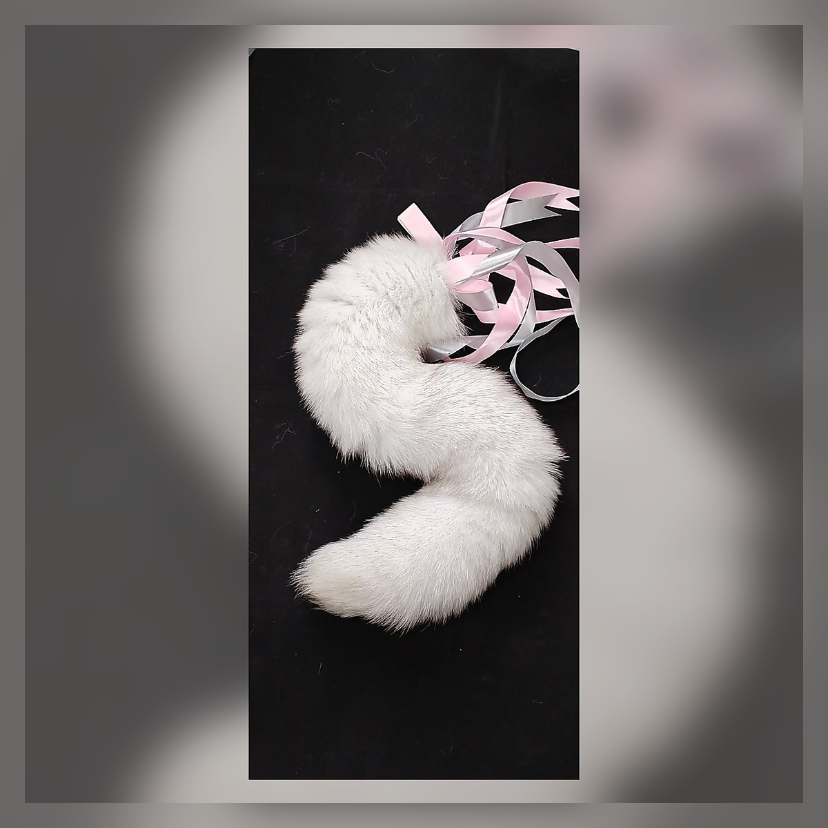 Aurora Lace Tail Set - Image 2