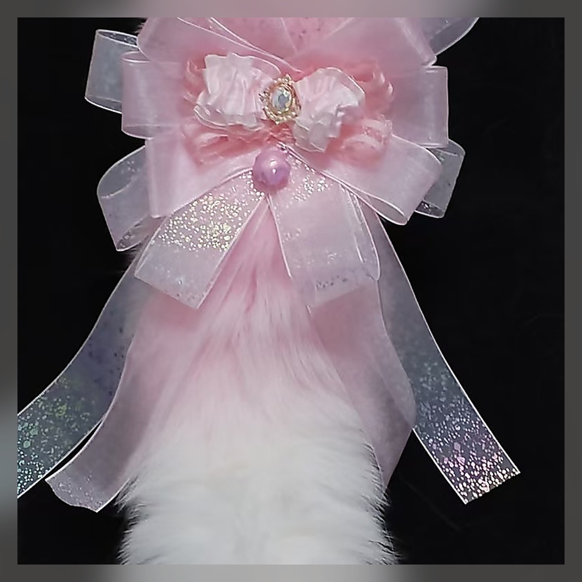 Cherry Velvet Tail Set - Image 4