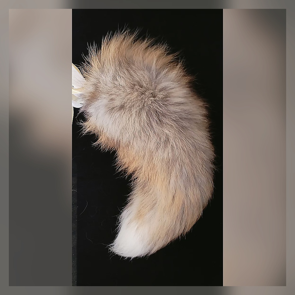 Snow Petal Plush Tail Set - Image 3