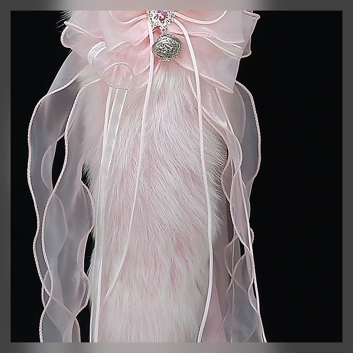 Champagne Star Plush Tail Set - Image 4