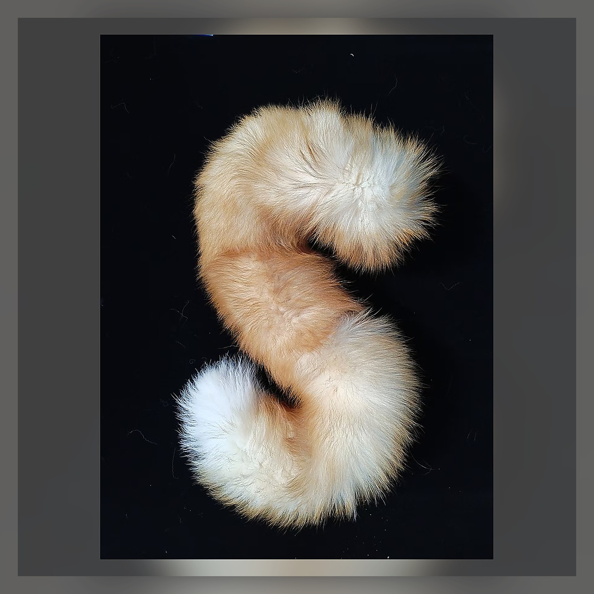Ivory Moon Ribbon Tail Set - Image 2