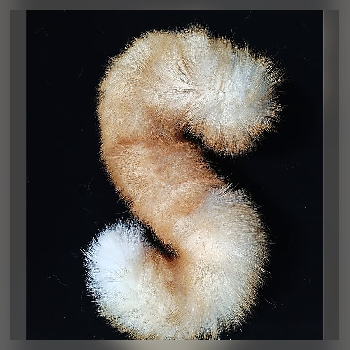 Ivory Moon Ribbon Tail Set - Image 3