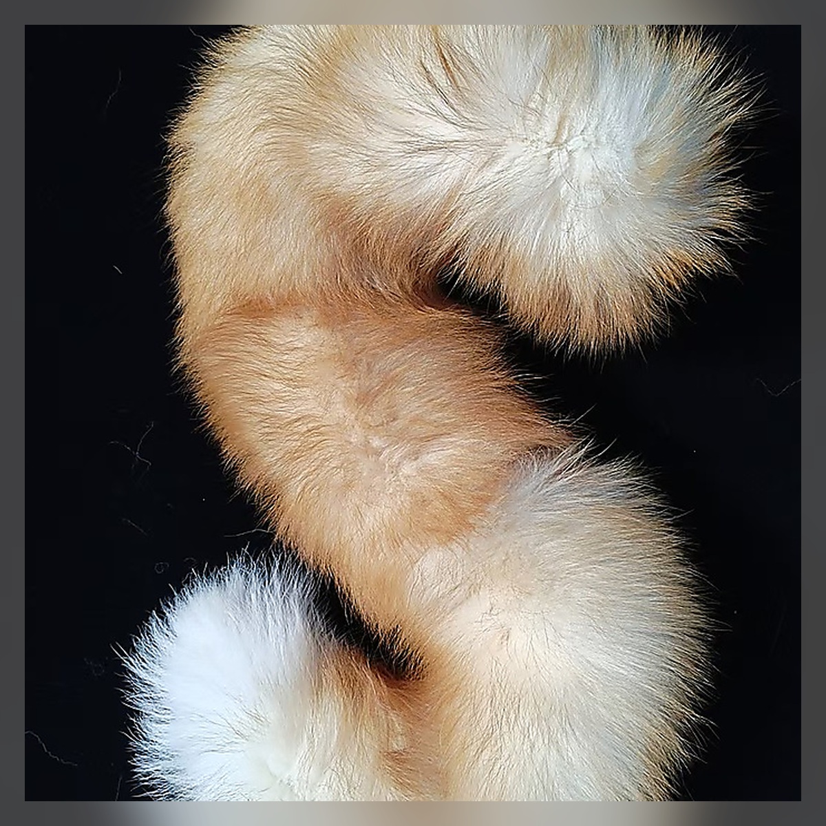 Ivory Moon Ribbon Tail Set - Image 4