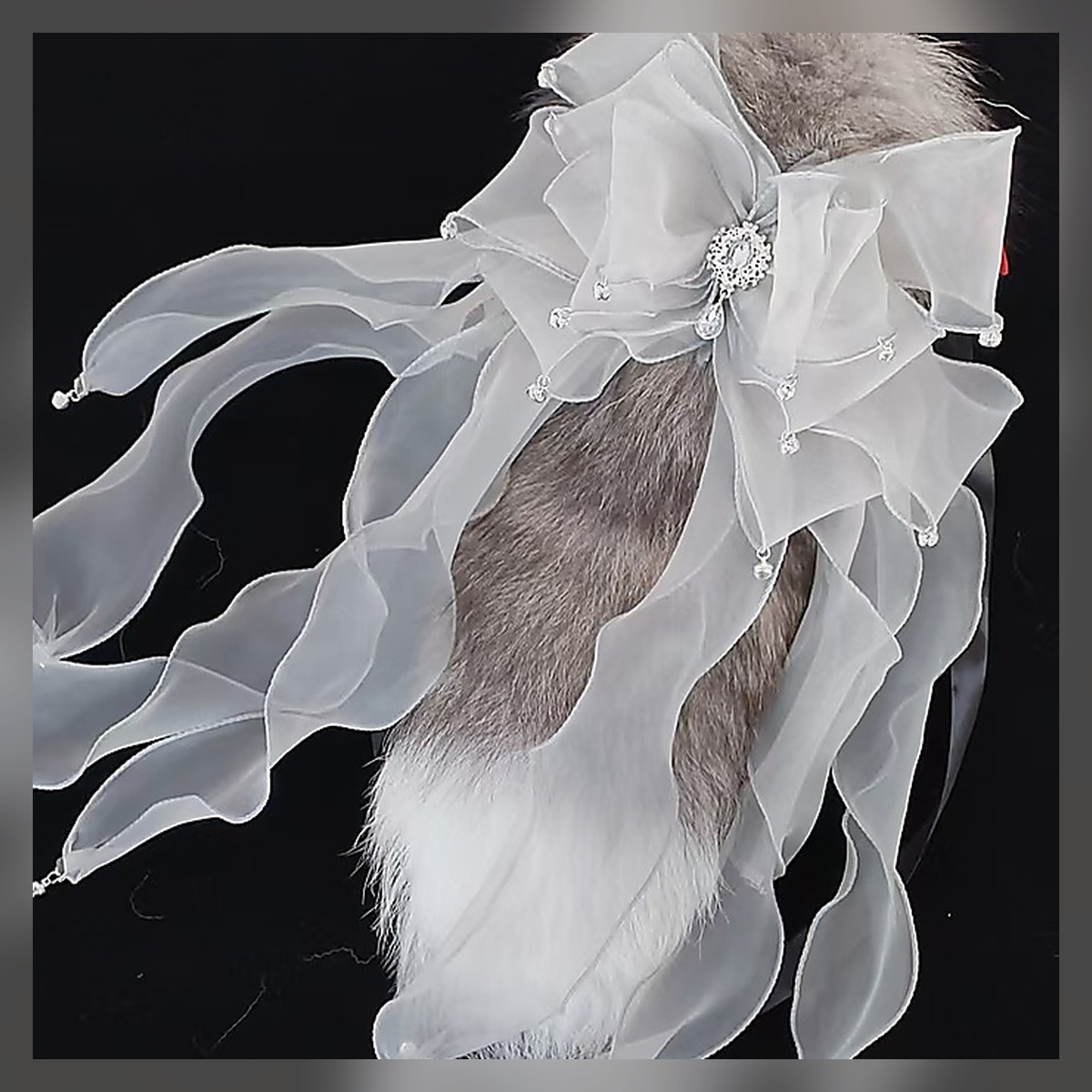 Midnight Bell Ribbon Tail Set - Image 4