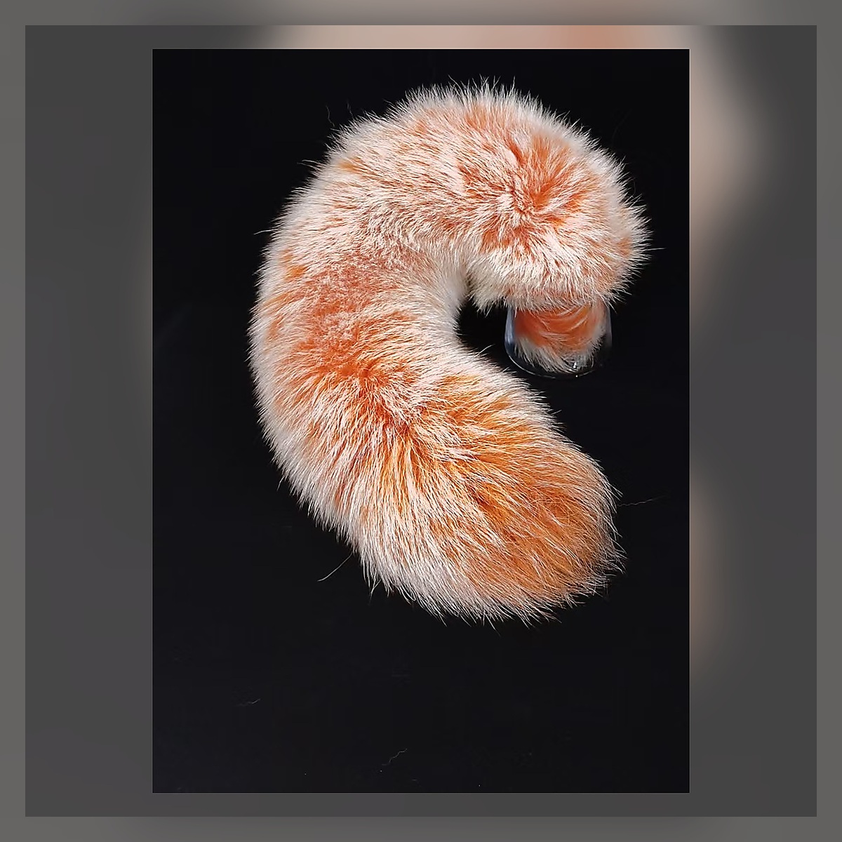 Black Swan Ribbon Tail Set - Image 2