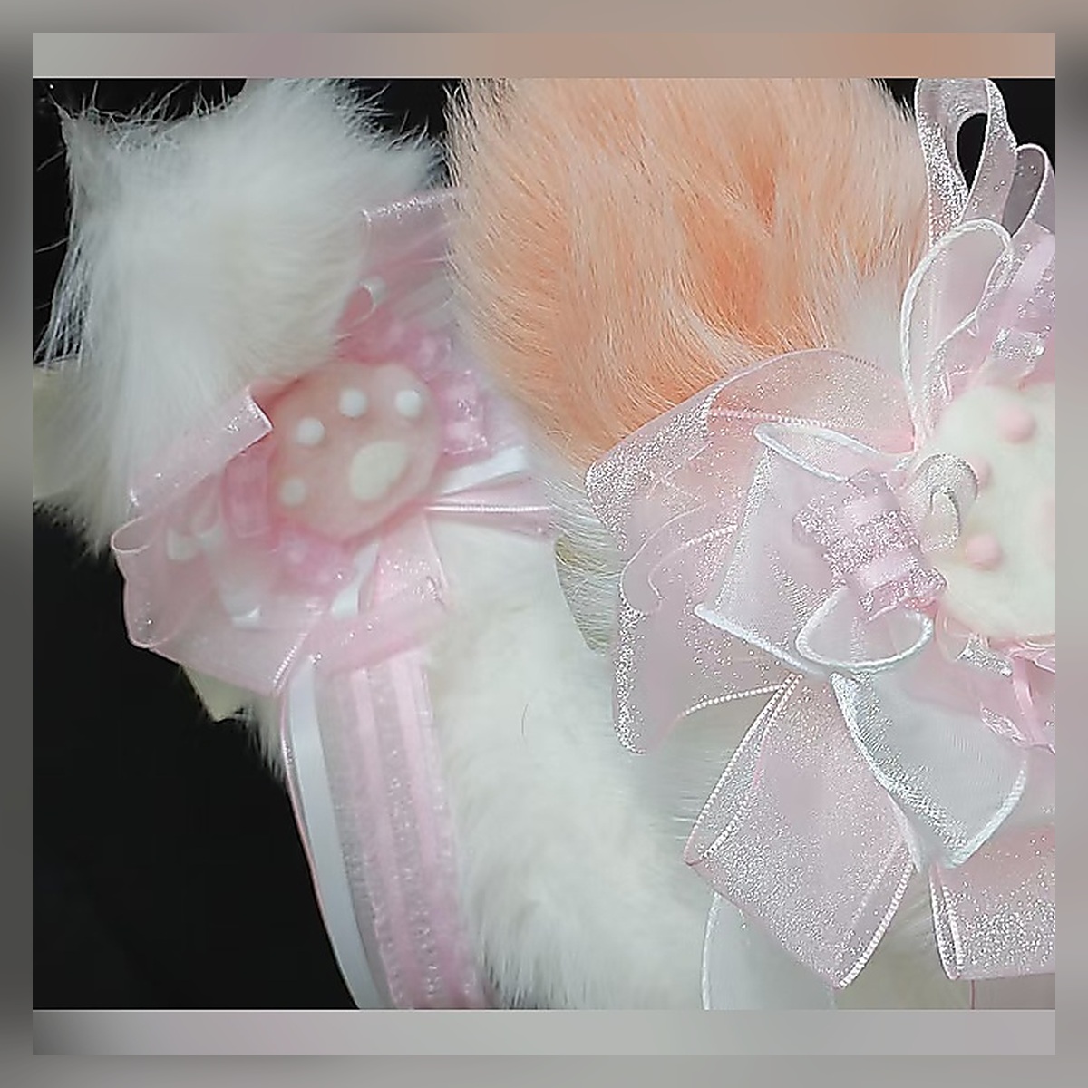 Scarlet Moon Ribbon Tail Set - Image 4