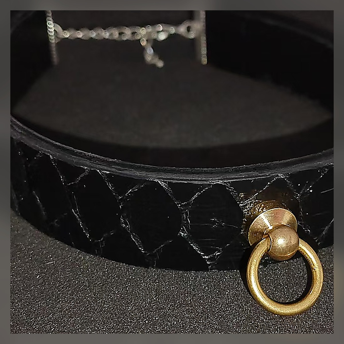 Croc Chain Collar - Image 4